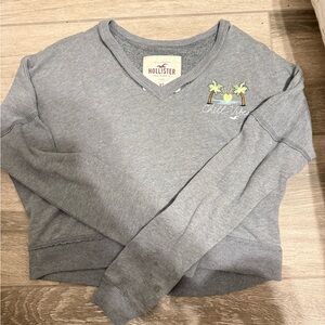 Hollister Charcoal V-Neck with Palm Embroidery